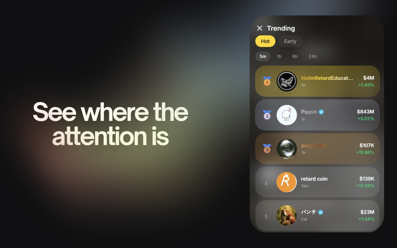 See where the attention is